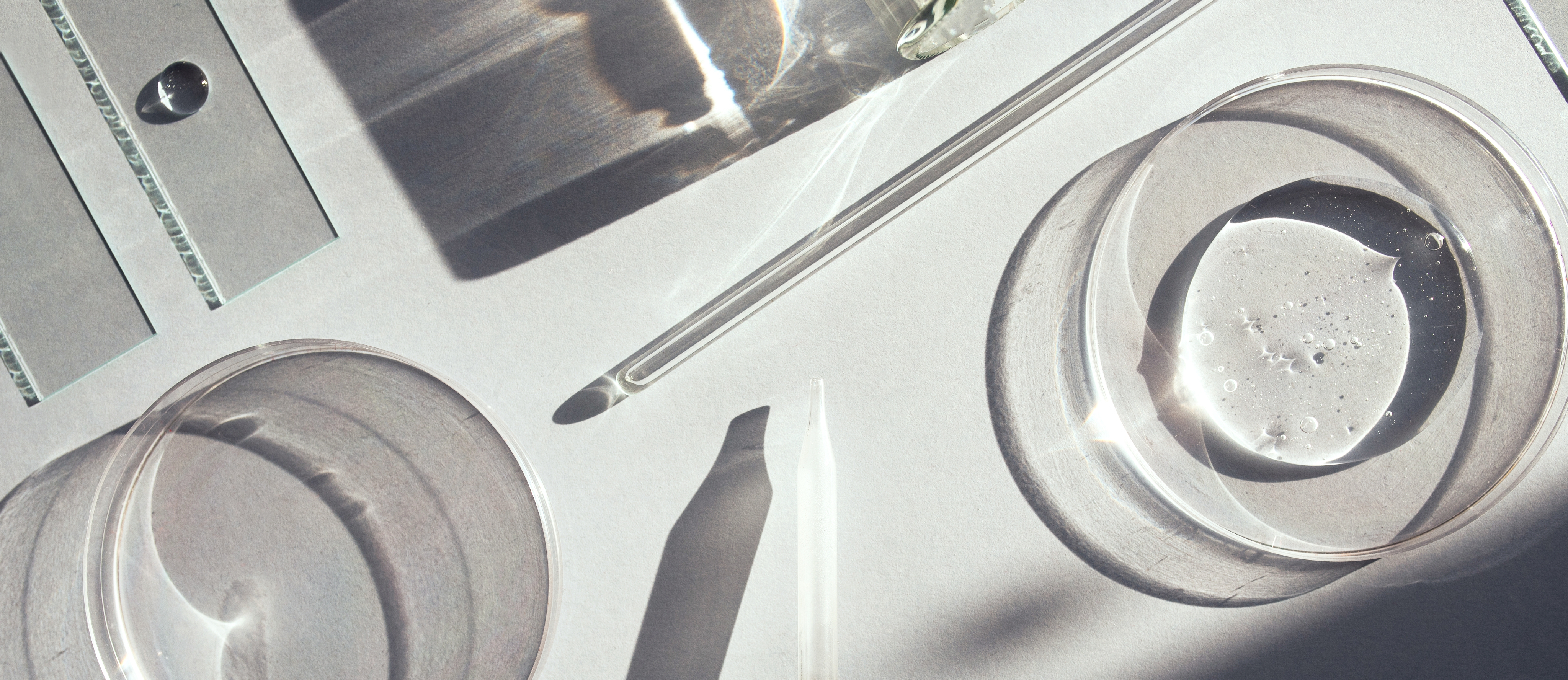 Photo of rows of books in a library with marble busts.